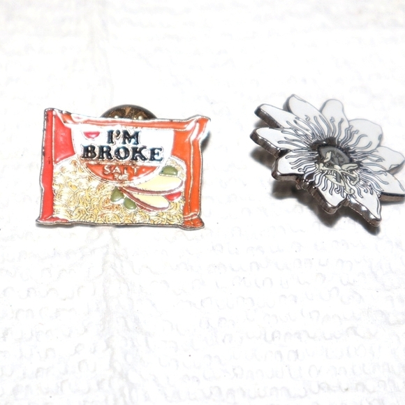 Lot of 7 Pins Flags 49ers etc.. - Picture 14 of 16